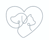 image v NF Bright Cat Marketing