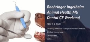 Boehringer Ingelheim Animal Health MU Dental CE Weekend Postcard w a vet holding dental tools near a dog's mouth