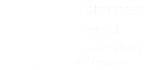 Horizontal VDS MO Dental Logo