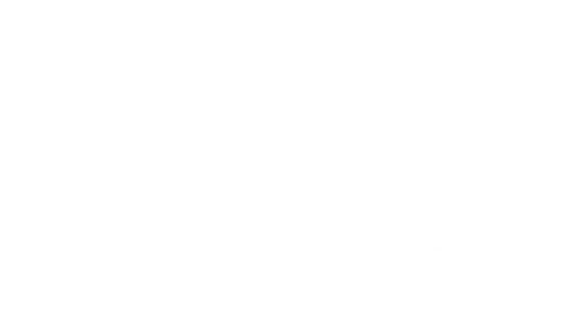 Horizontal VDS MO Dental Logo